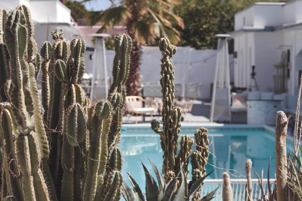 The Westcott Bed and Breakfast Palm Springs Eksteriør billede
